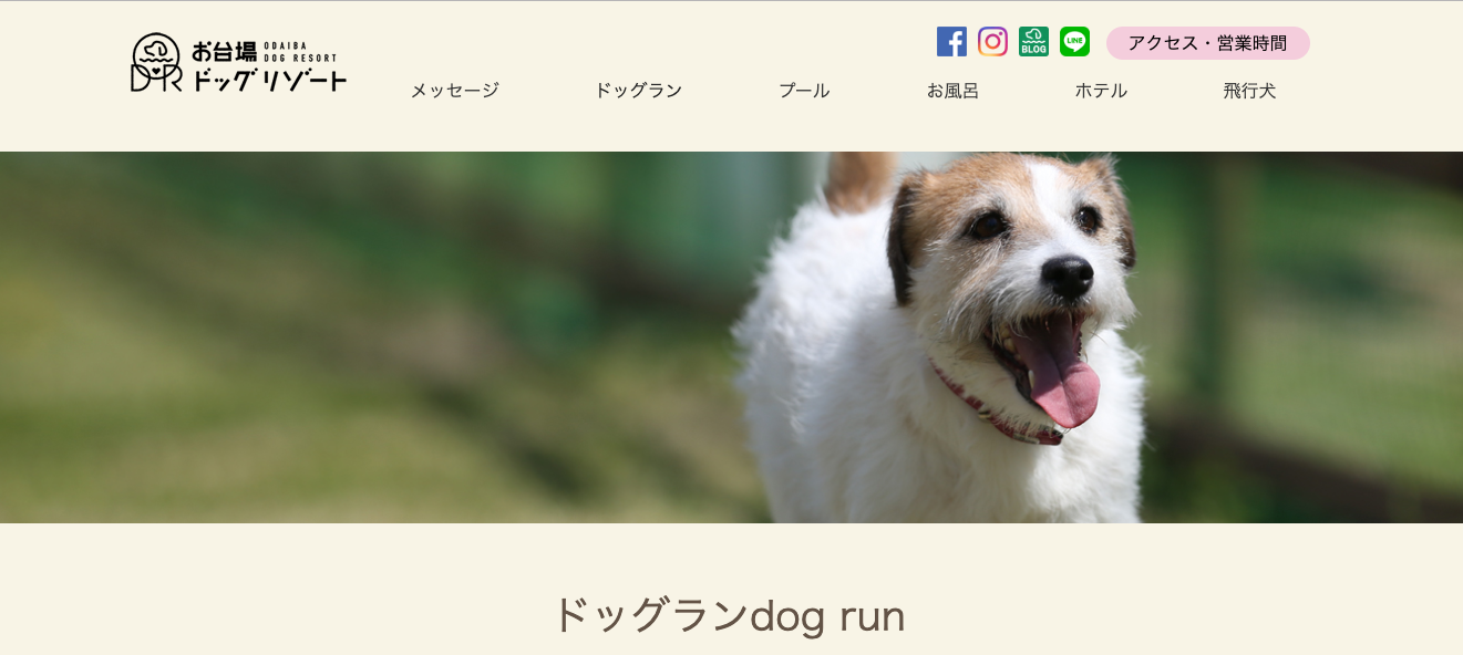 【関東】夜でも愛犬が楽しめるドッグラン