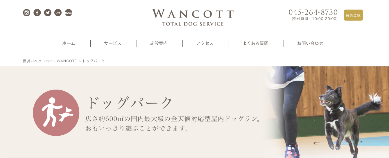 【関東】〜愛犬と寒くても楽しめるスポットまとめ〜室内ドッグラン・温泉