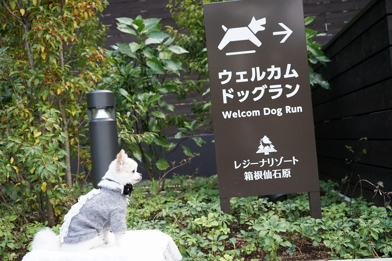 愛犬と一緒に宿泊できるホテル　箱根　2021年版