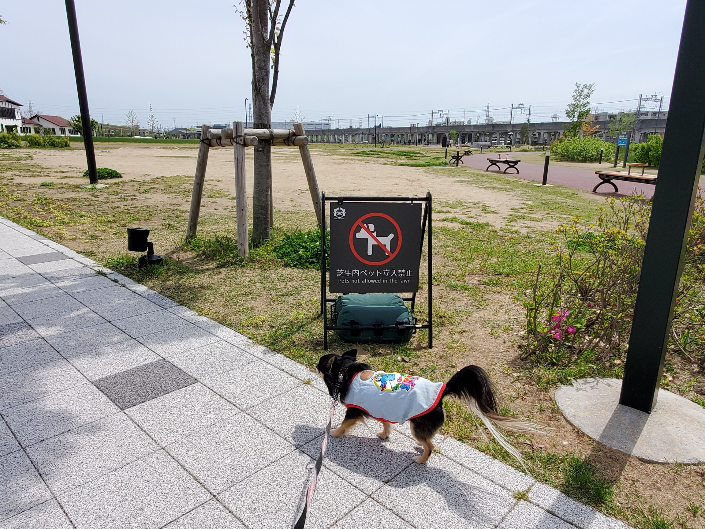 GRASS DOG＆CAT(グラスドッグ＆キャット) 高槻安満遺跡公園店