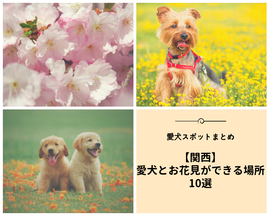 【関西】愛犬とお花見ができるスポット10選！