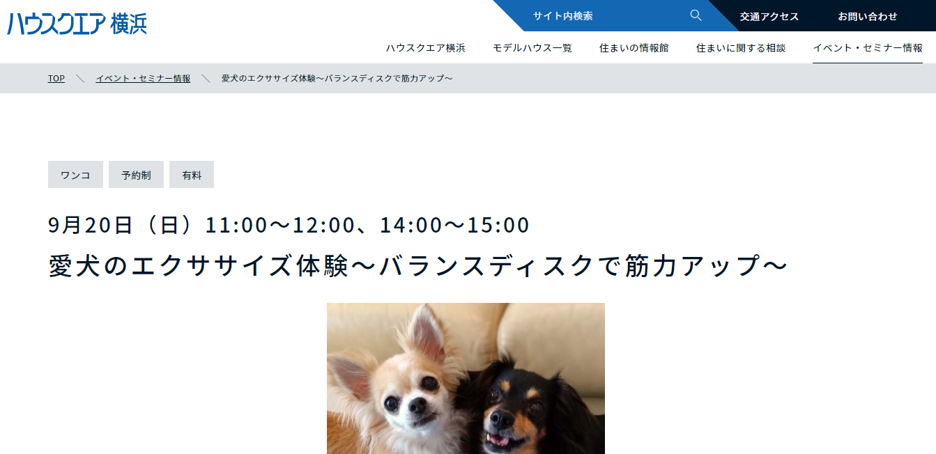ハウスクエア横浜愛犬のエクササイズ体験バランスディスク