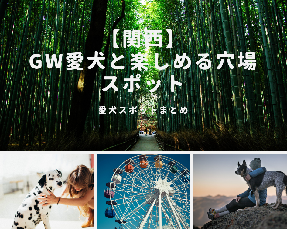 【関西】「GW愛犬と楽しめる穴場スポット」イベント