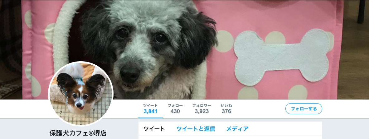 【関東・関西】〜保護犬カフェまとめ〜