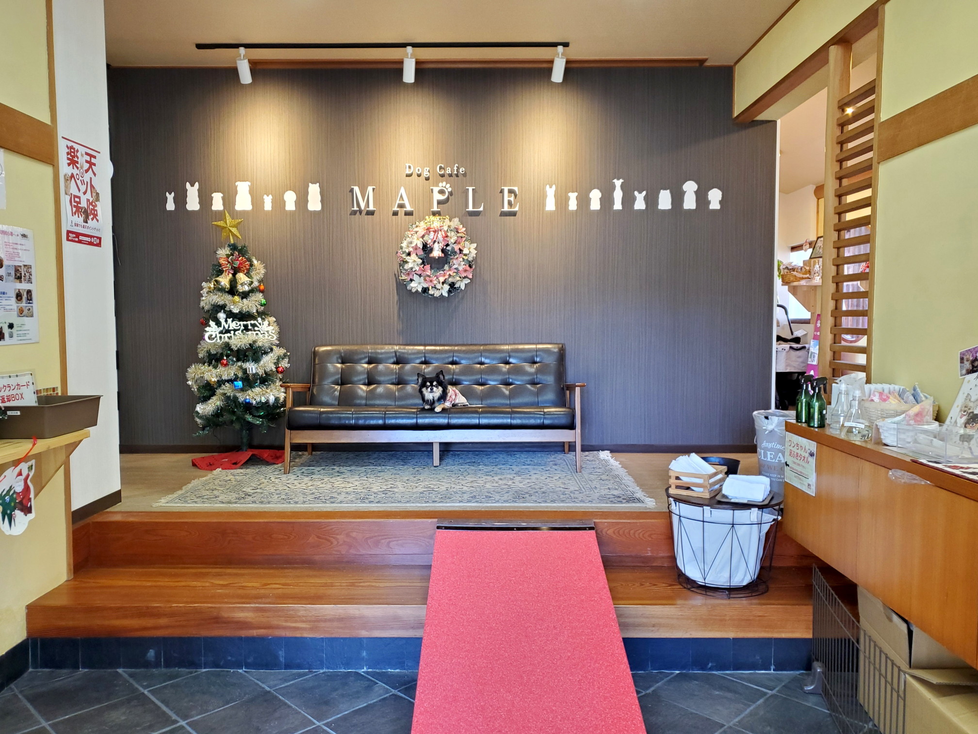 ドッグカフェ メイプル(DogCafe MAPLE)