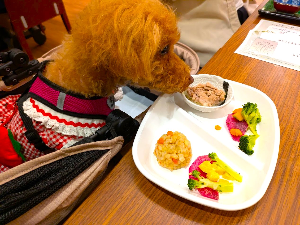 わんわんパラダイス奈良生駒