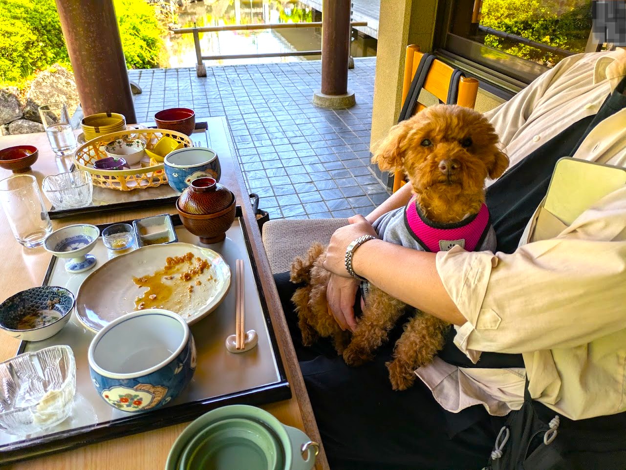 TERAカフェ花美津姫