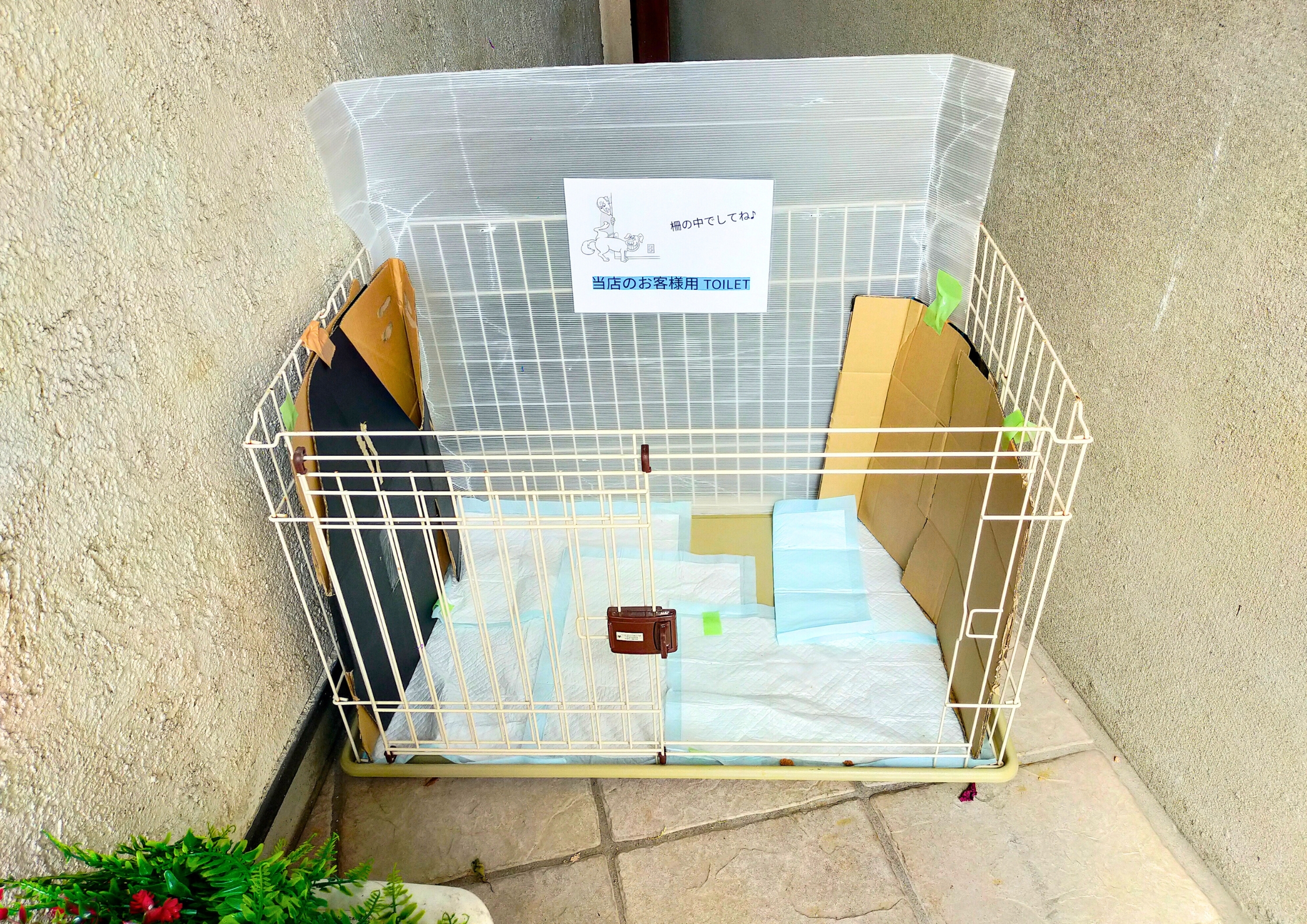 犬連れ専用喫茶ボイボイ
