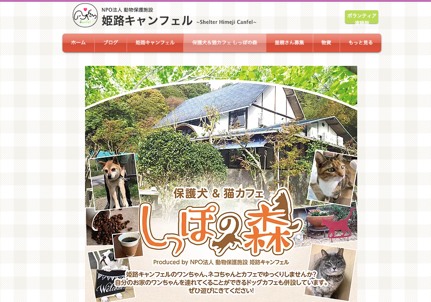 【関東・関西】〜保護犬カフェまとめ〜