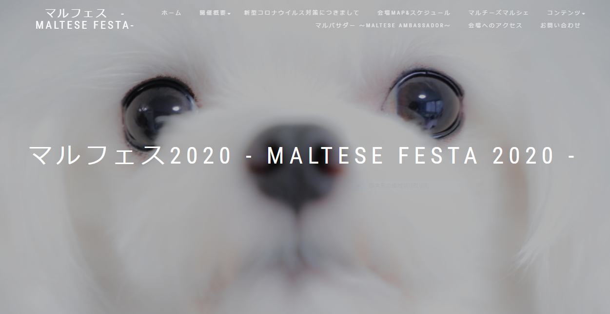 マルフェス2020イーノの森DogGarden