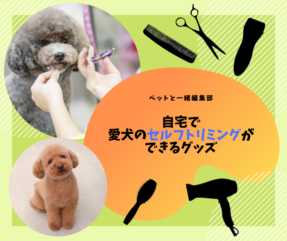 自宅で愛犬のセルフトリミングができるグッズ【ペットと一緒編集部】