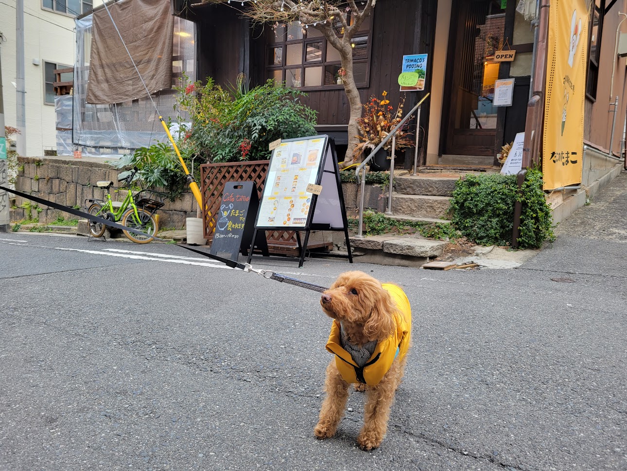 たまごのたまこ空堀店