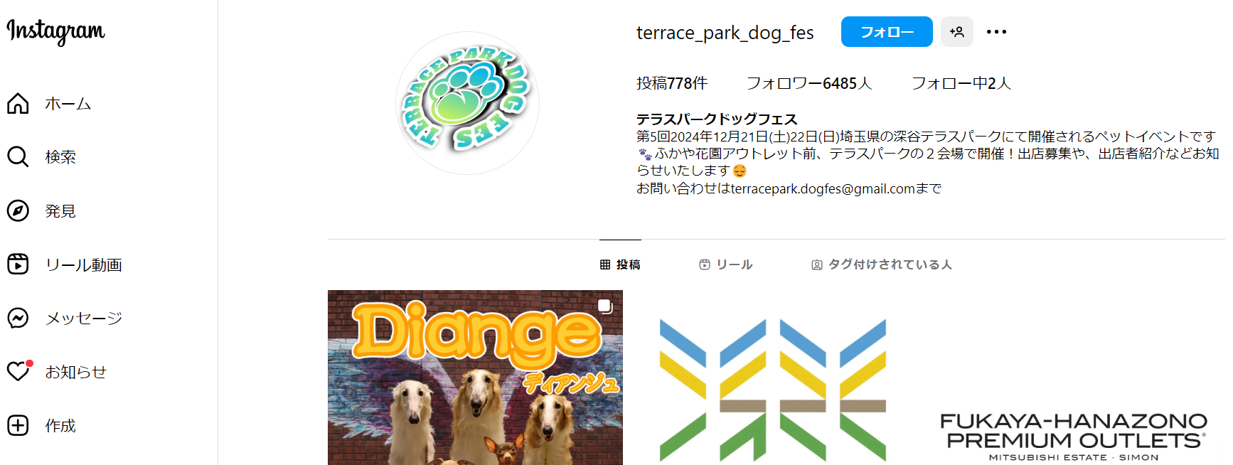 第5回TERRACEPARK DOG FES