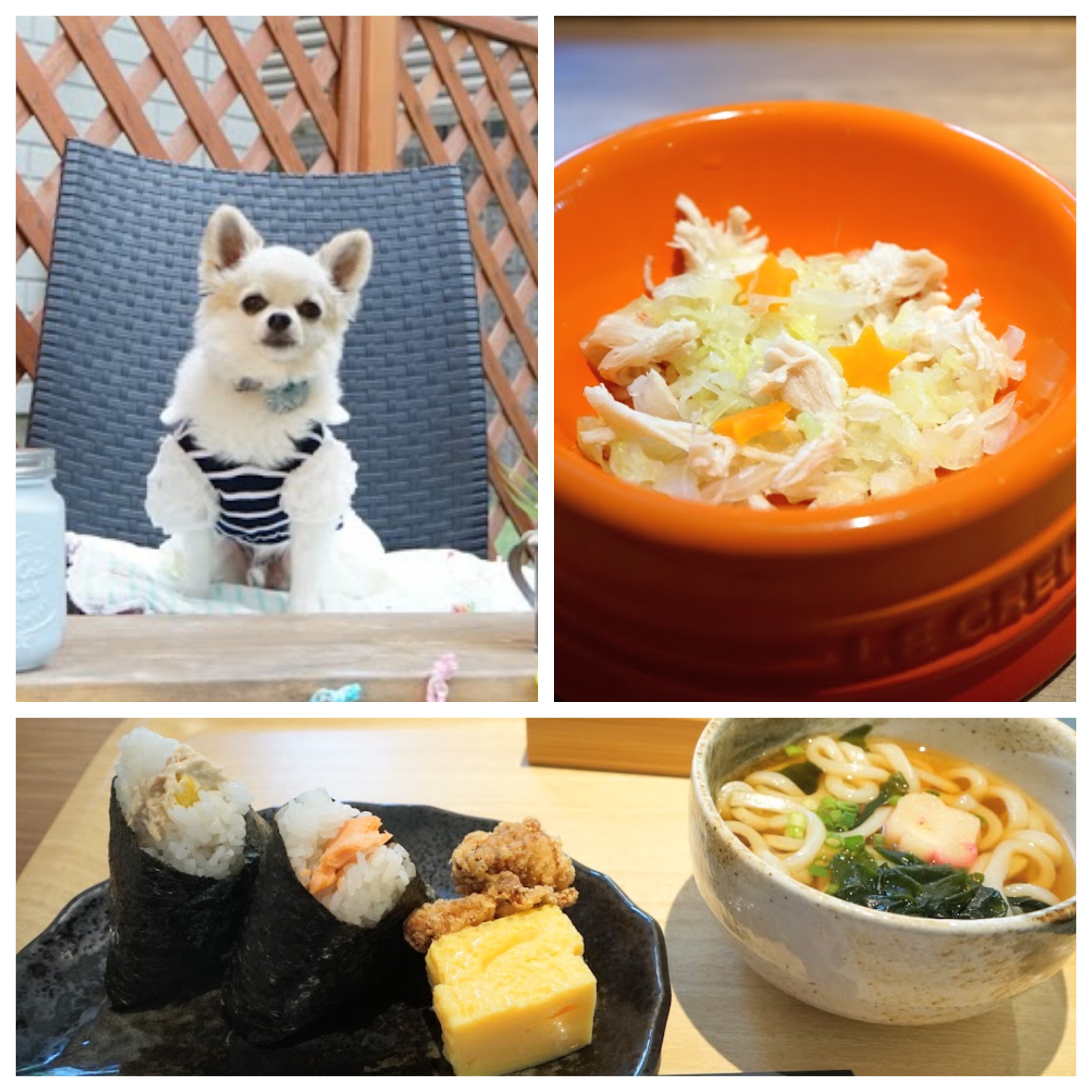 【関東】「大型犬も一緒に入れるお店」東京23区 Part1