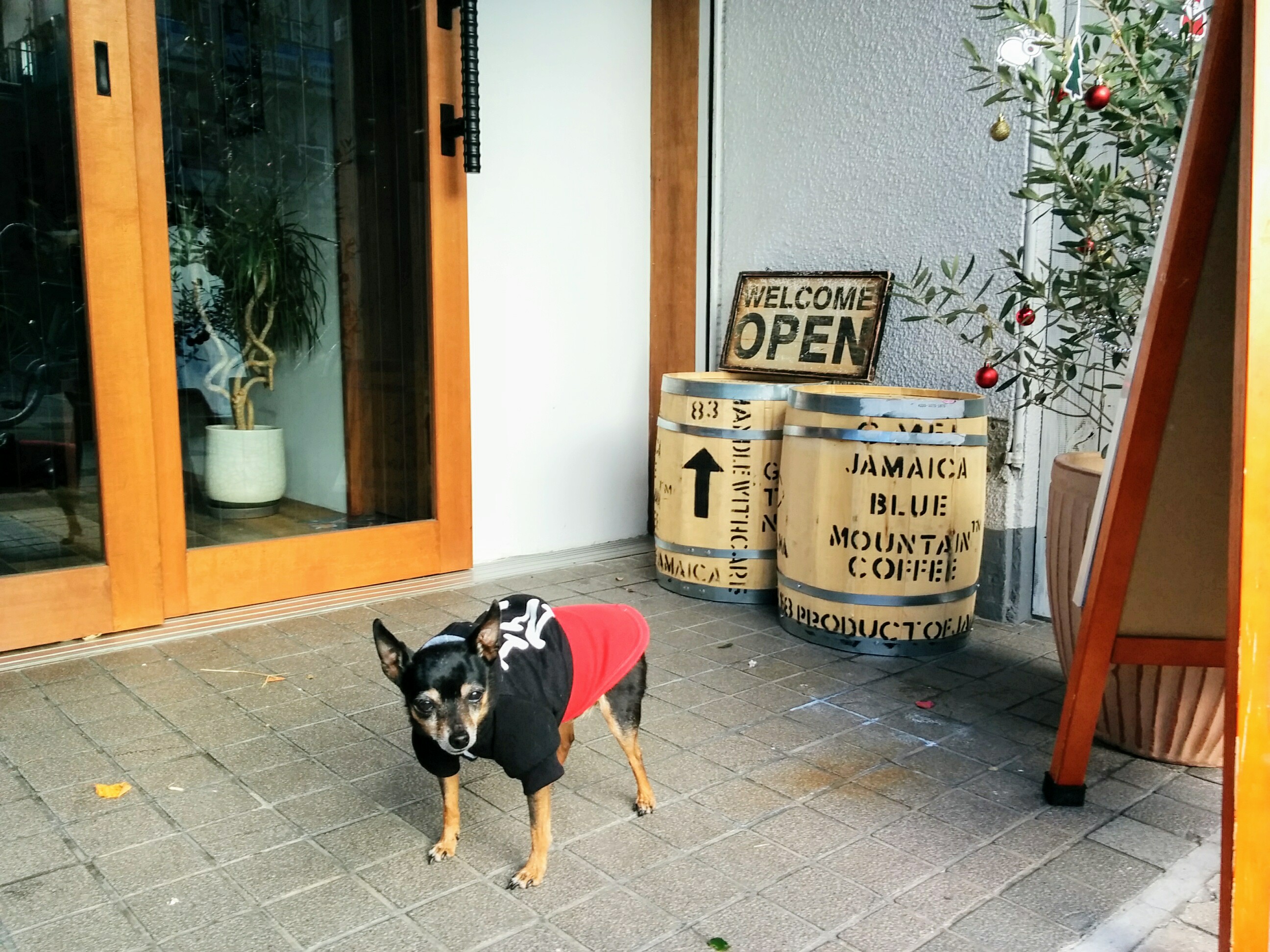 【関西】愛犬と本格的なイタリアンが楽しめるお店
