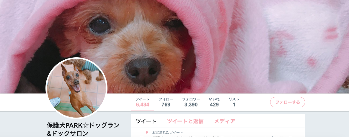 【関東・関西】〜保護犬カフェまとめ〜