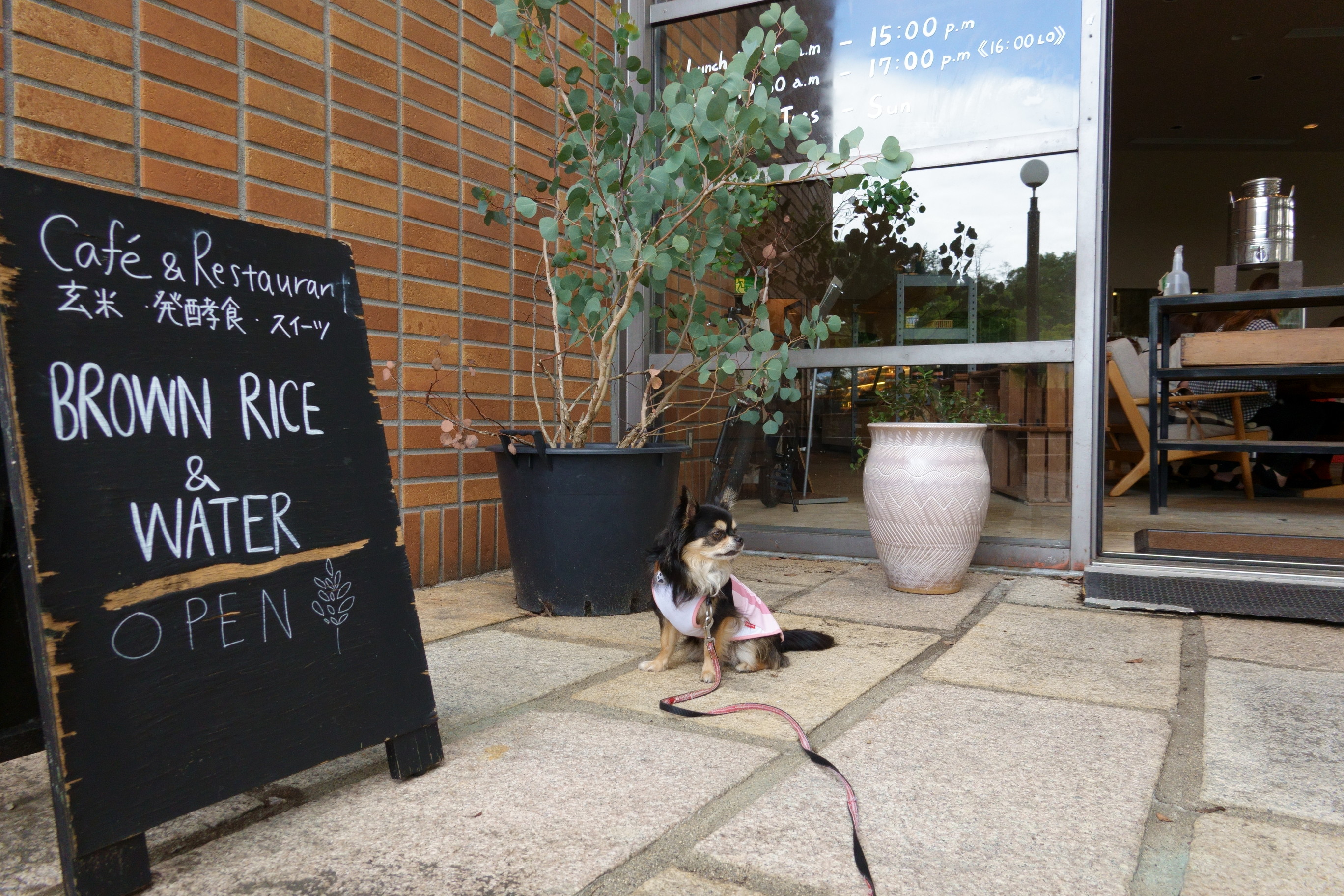 Brown Rice And Water(ブラウンライス アンド ウォーター)