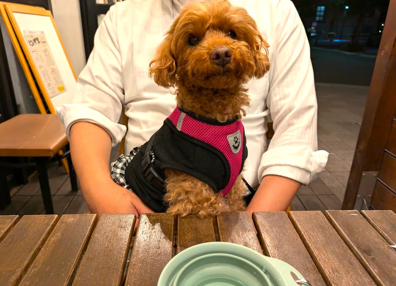 おばんざい酒場にいやま