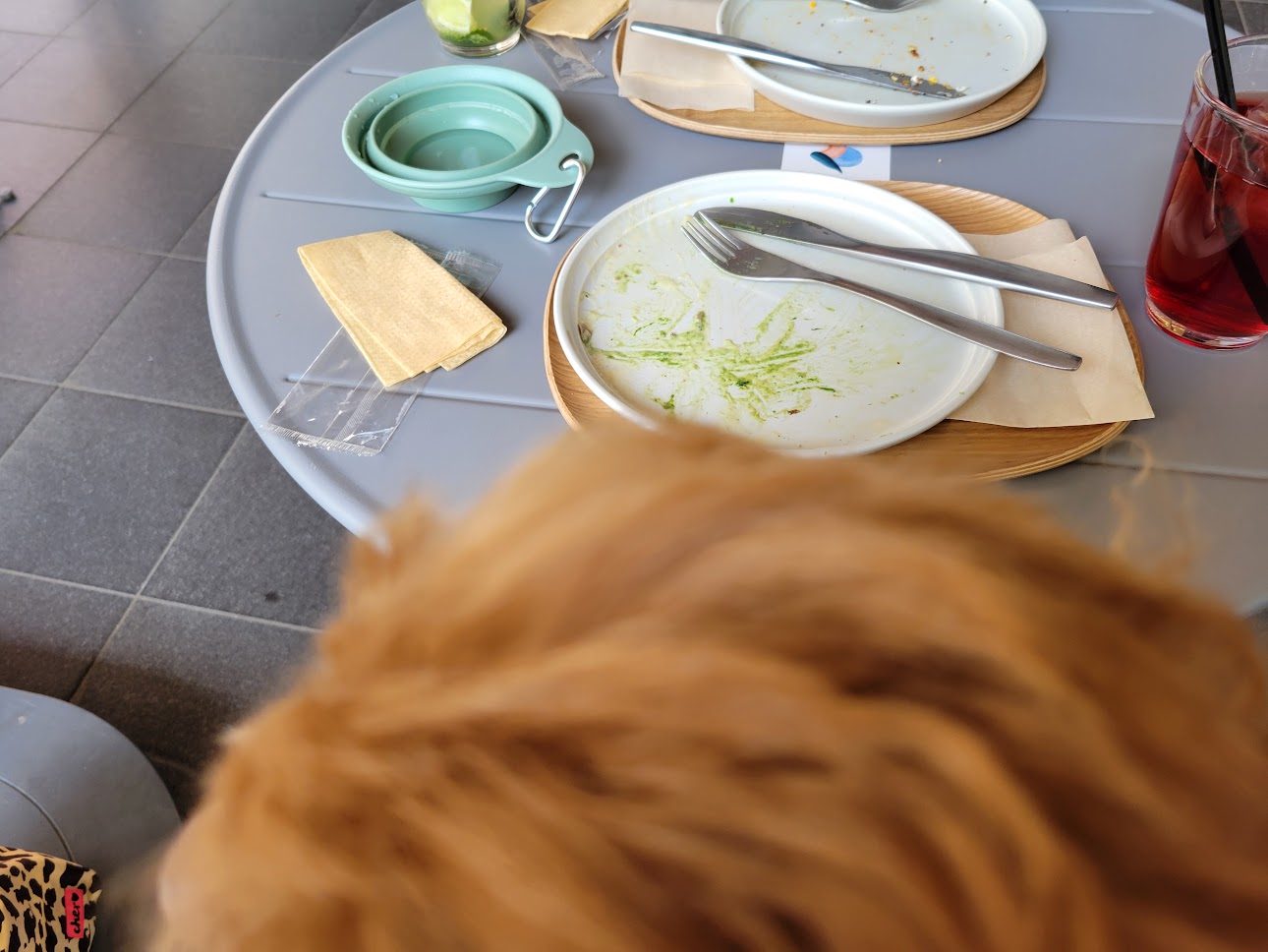 ビオタカフェ