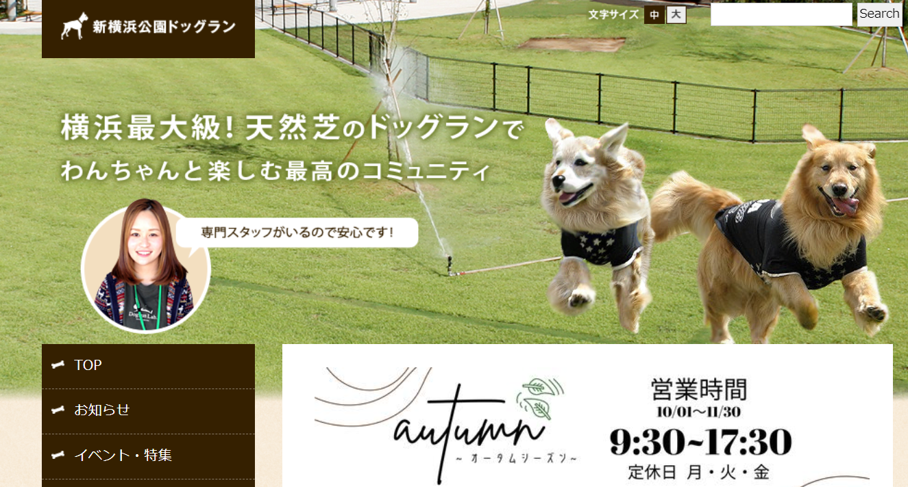 犬のきもちを知るセミナー~愛犬の心の声に耳を傾けてみよう~