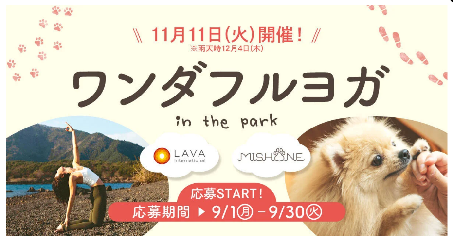 ワンダフルヨガ~ in the park~