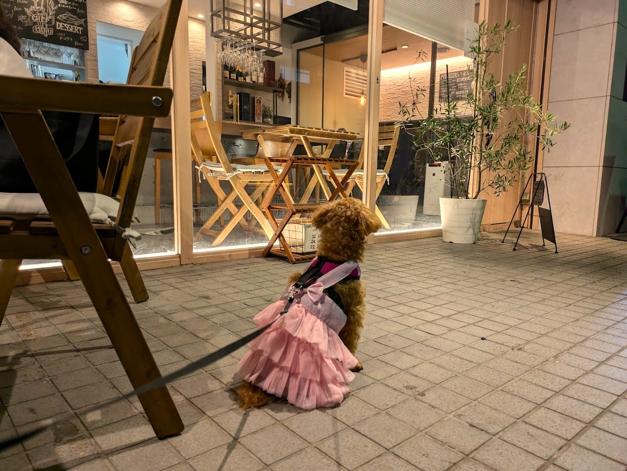 ビストロスリール