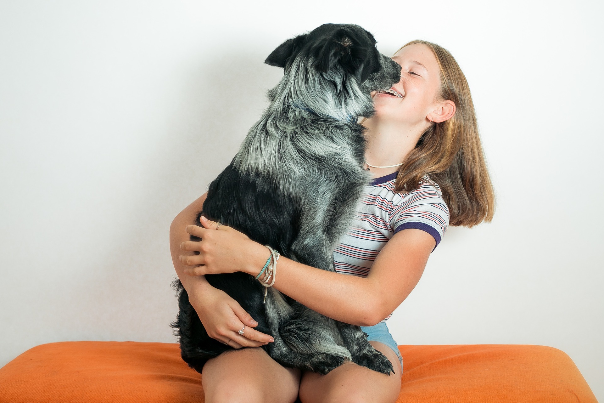 愛犬の分離不安症