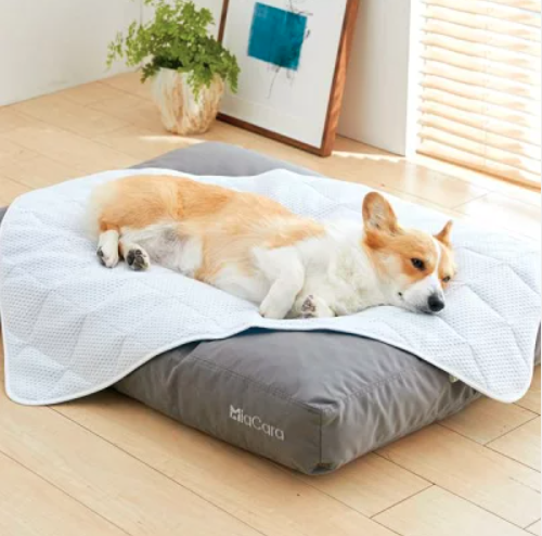 室内でも夏の暑さ対策!自宅で使える愛犬のひんやりグッズ10選【ペットと一緒編集部】