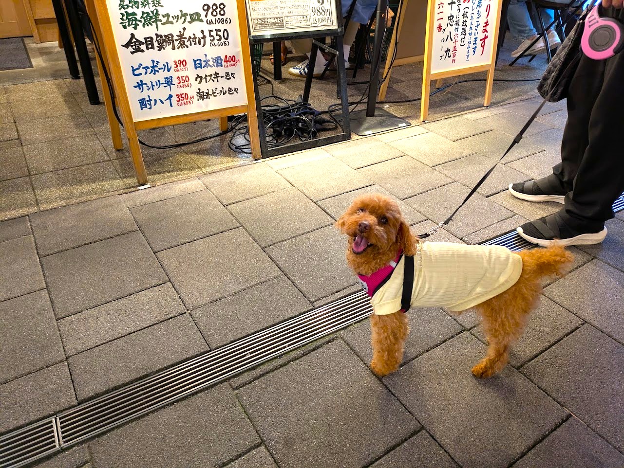 魚屋十忠八九