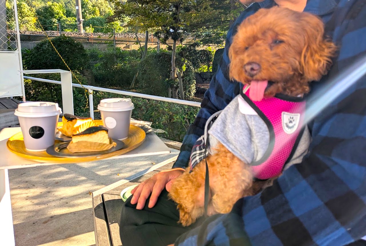 アブレッドオブフレッシュエア