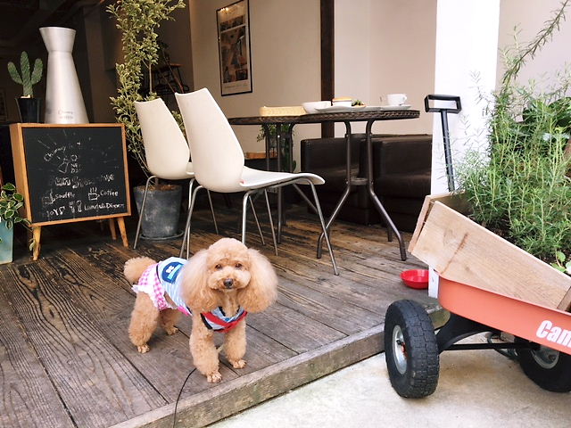 【大阪】愛犬と美味しいケーキが食べられるお店～Part2～