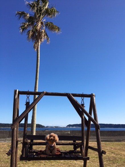 串本海中公園