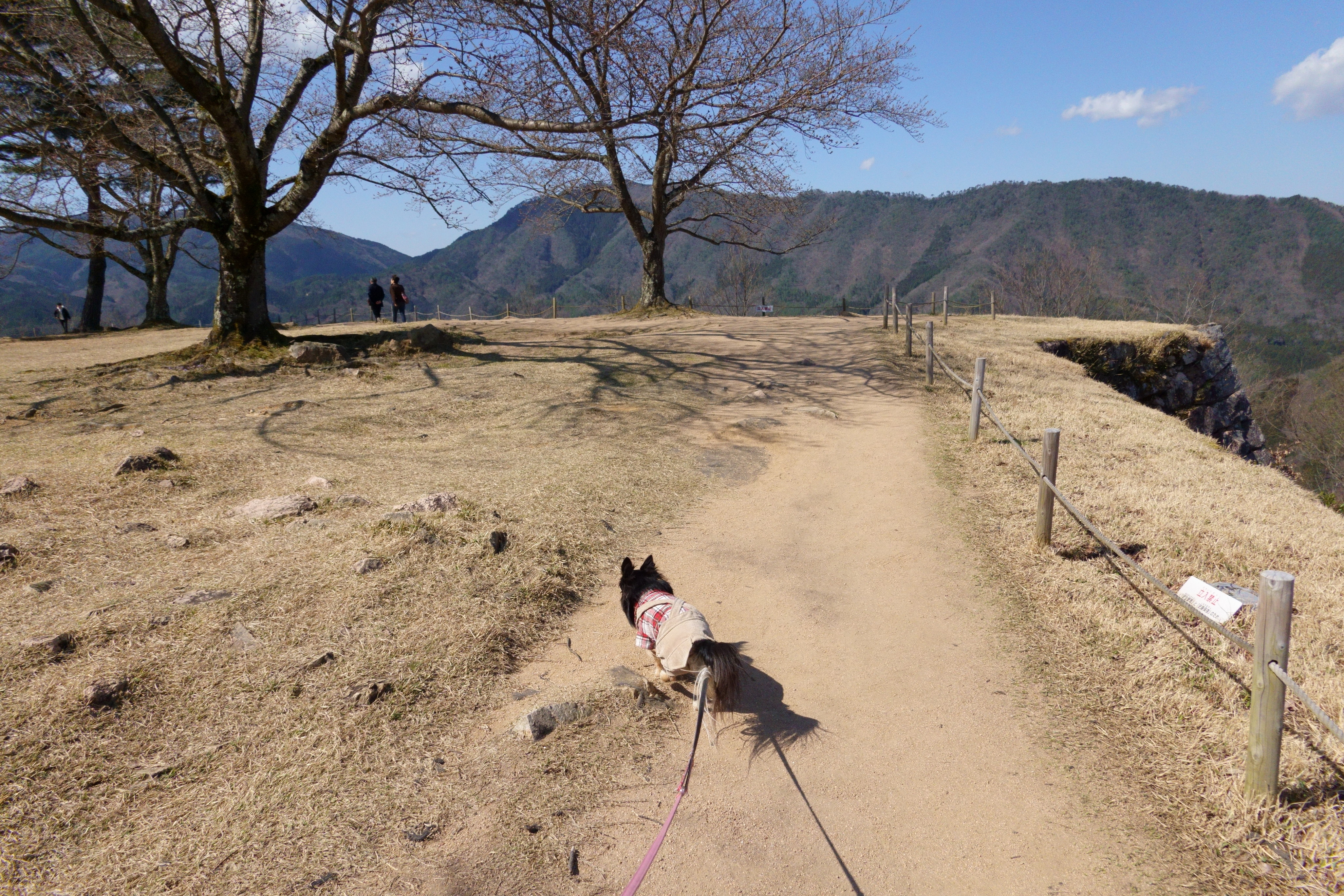 竹田城跡(たけだじょうせき)