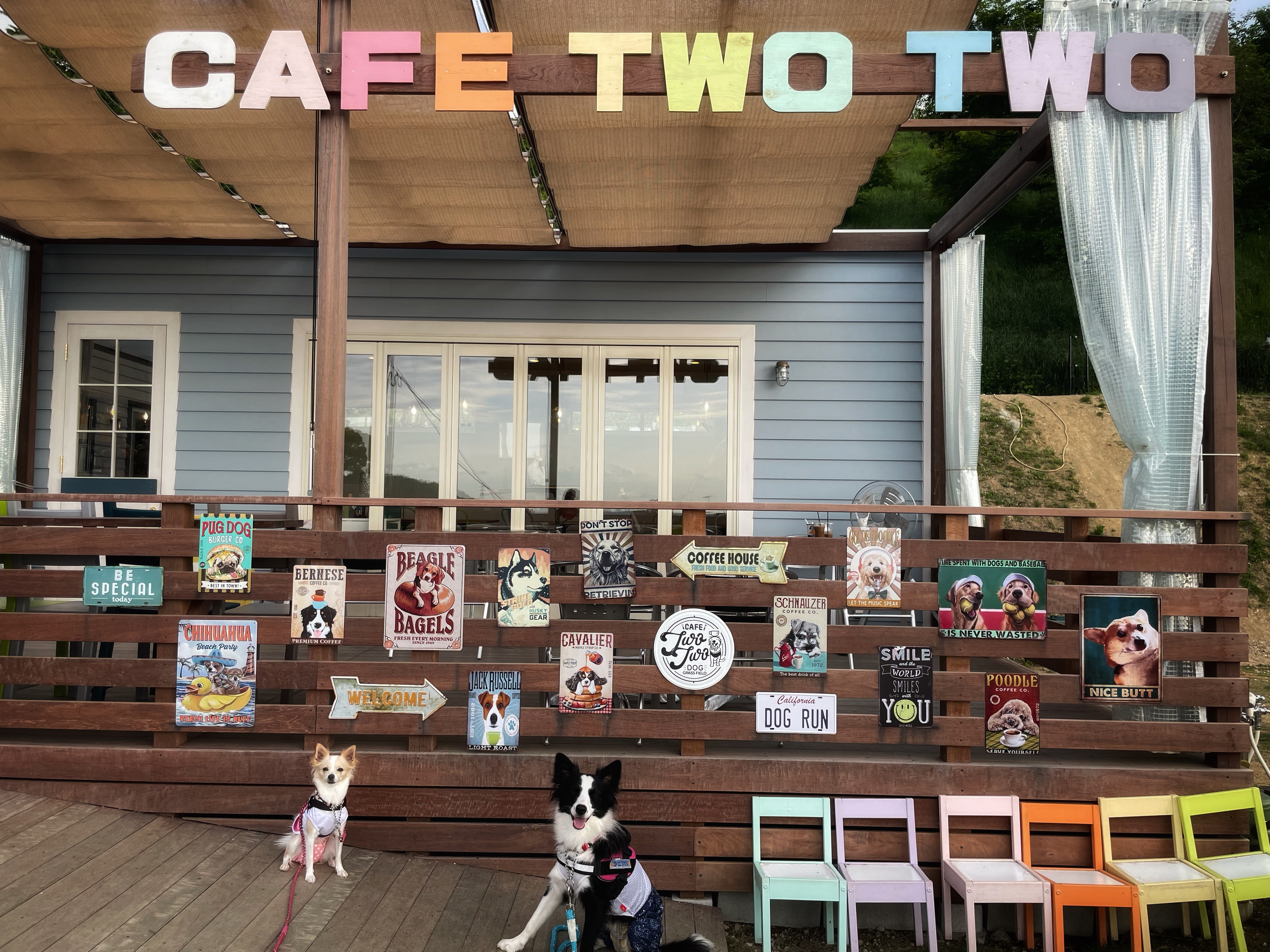 CafeTwoTwo＆DogGrassField