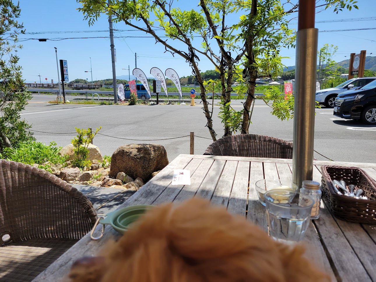 オランダ屋 富雄店