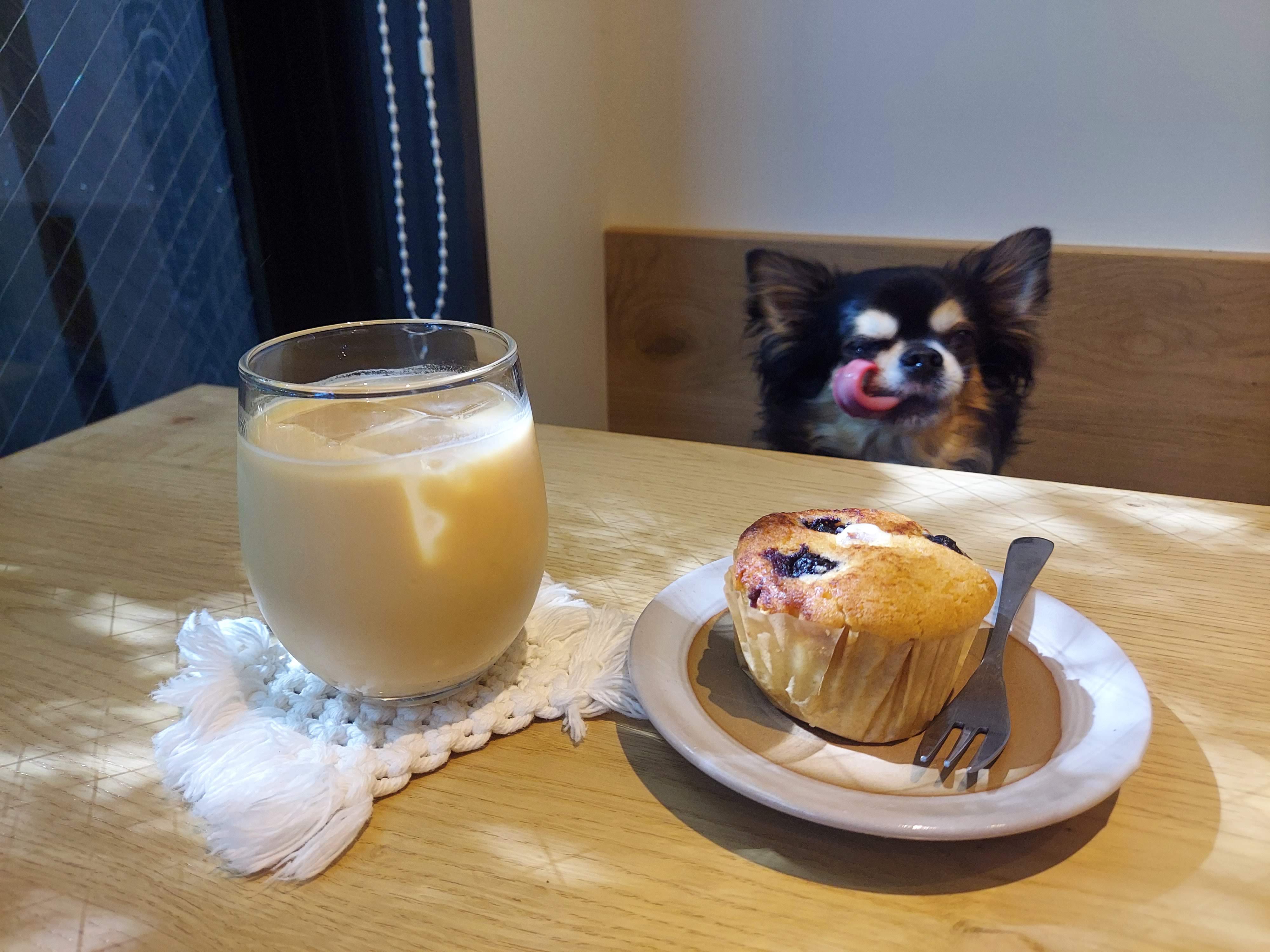 WHY BOWL(ワイボウル)
