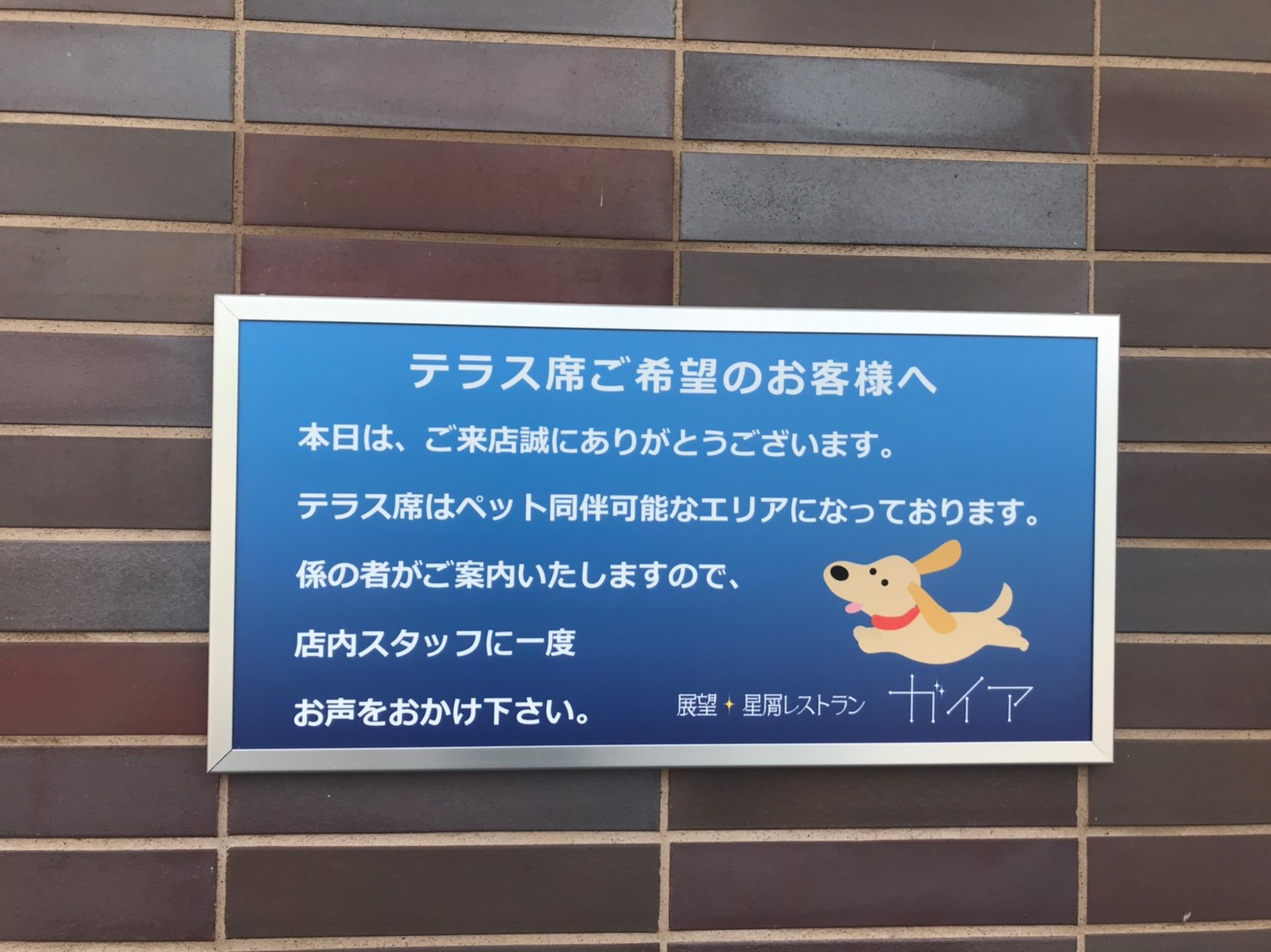 展望・星屑レストラン ガイア