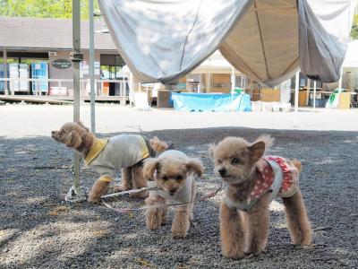 国営昭和記念公園バーベキューガーデン