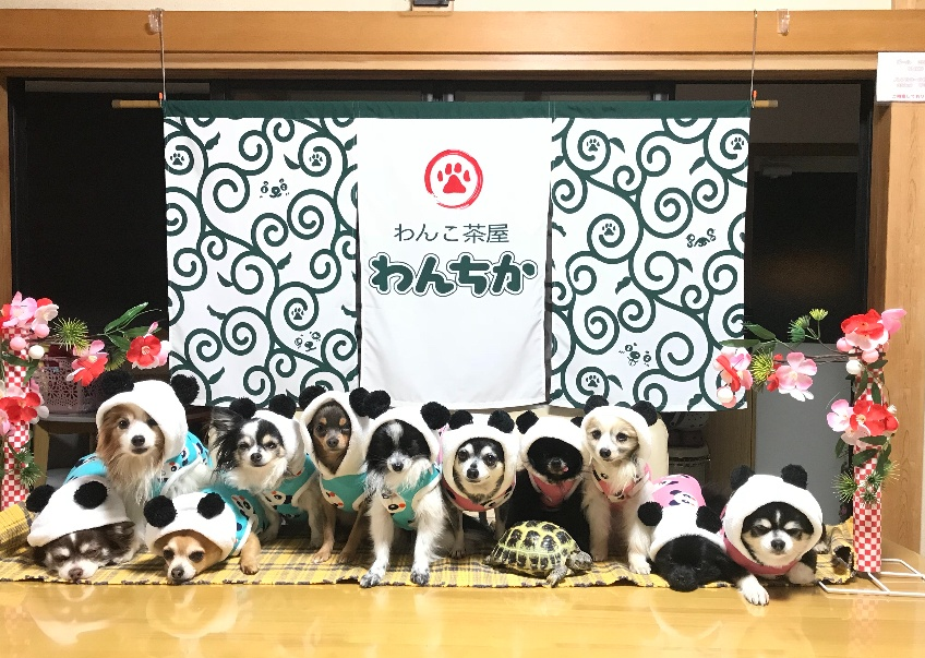 千葉県 犬用メニューもあるカフェまとめ Part ペットと一緒