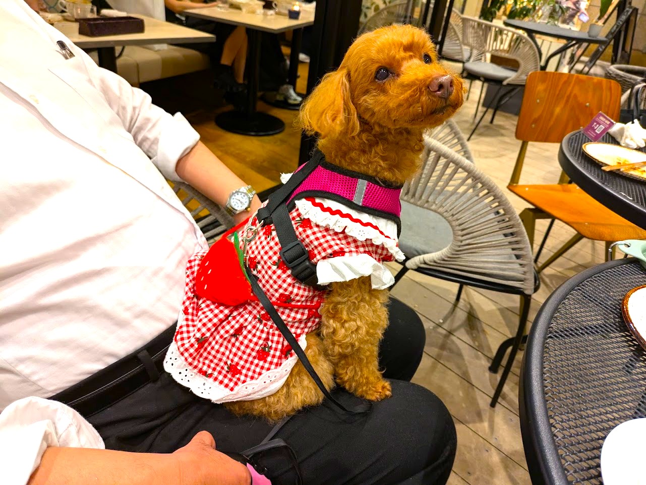 Pizzeria&Trattoria Bar Table Nice なんばパークス店