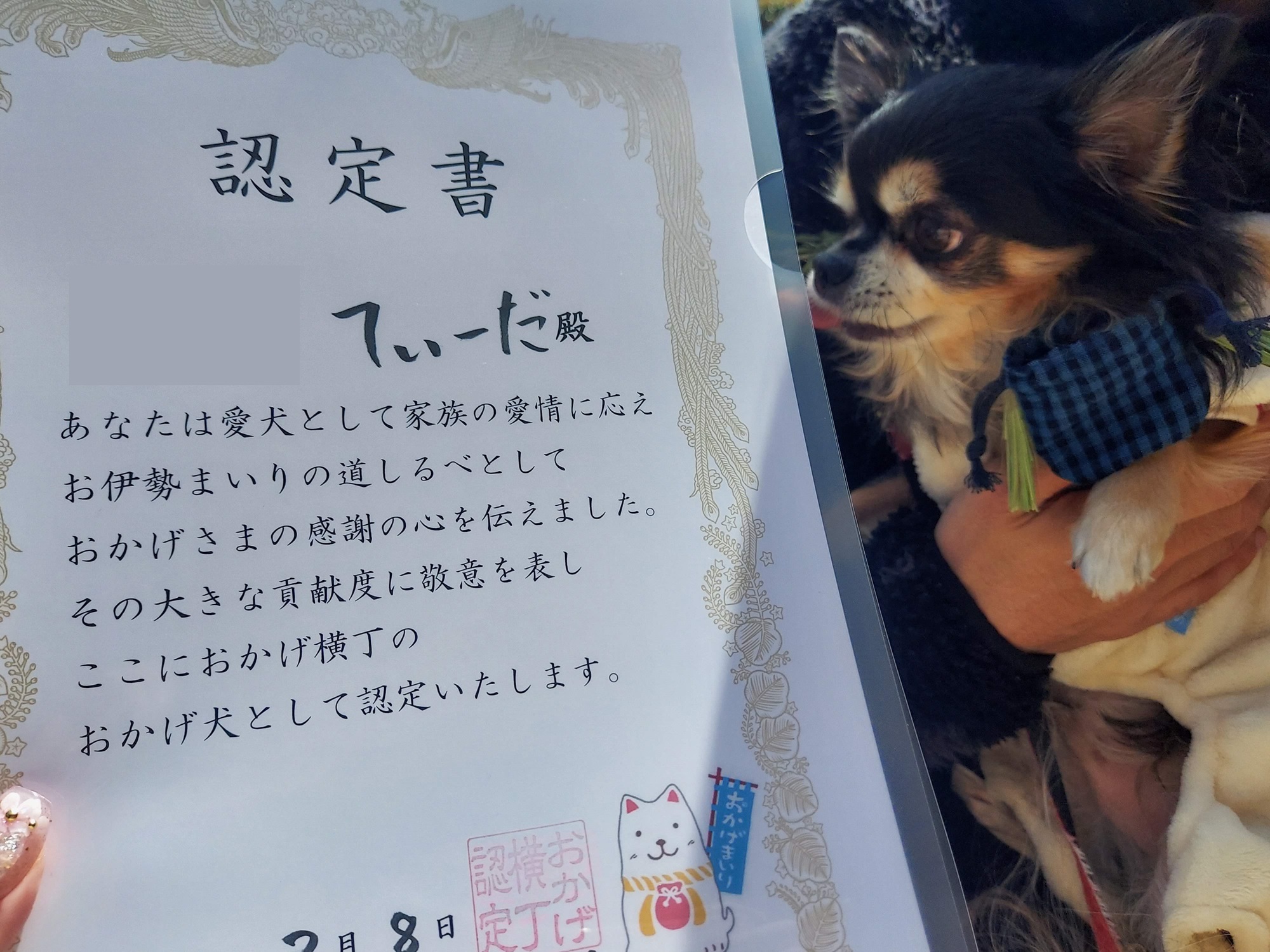 愛犬参加型 おかげ犬体験