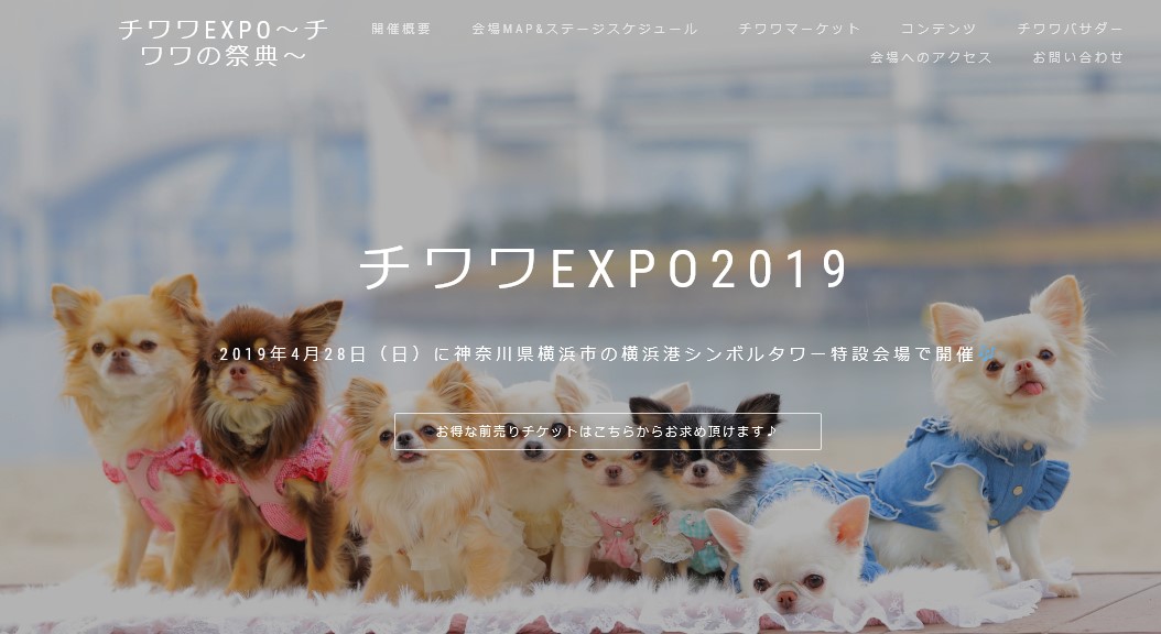 チワワEXPO 2019