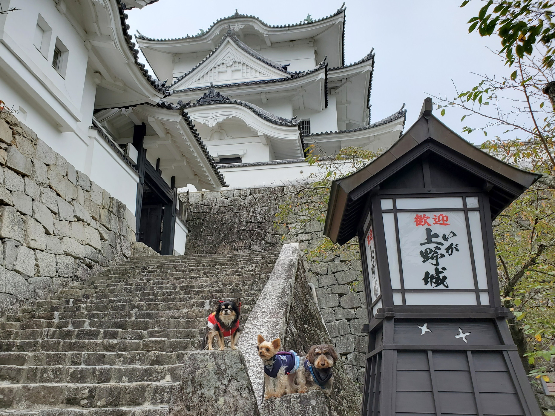 上野 城 伊賀 伊賀・上野城 日本でも随一の石垣の高さを誇る日本100名城