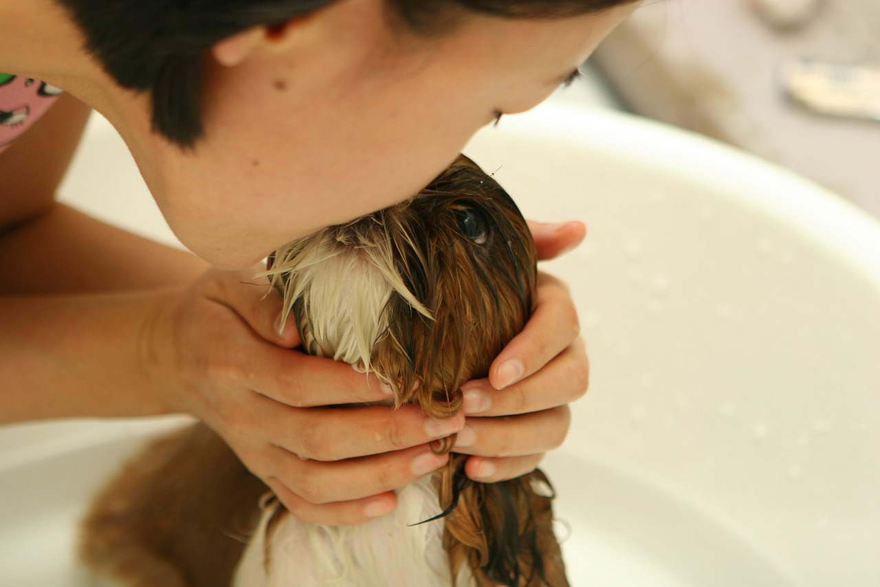 【関西】愛犬のセルフウォッシュができるお店