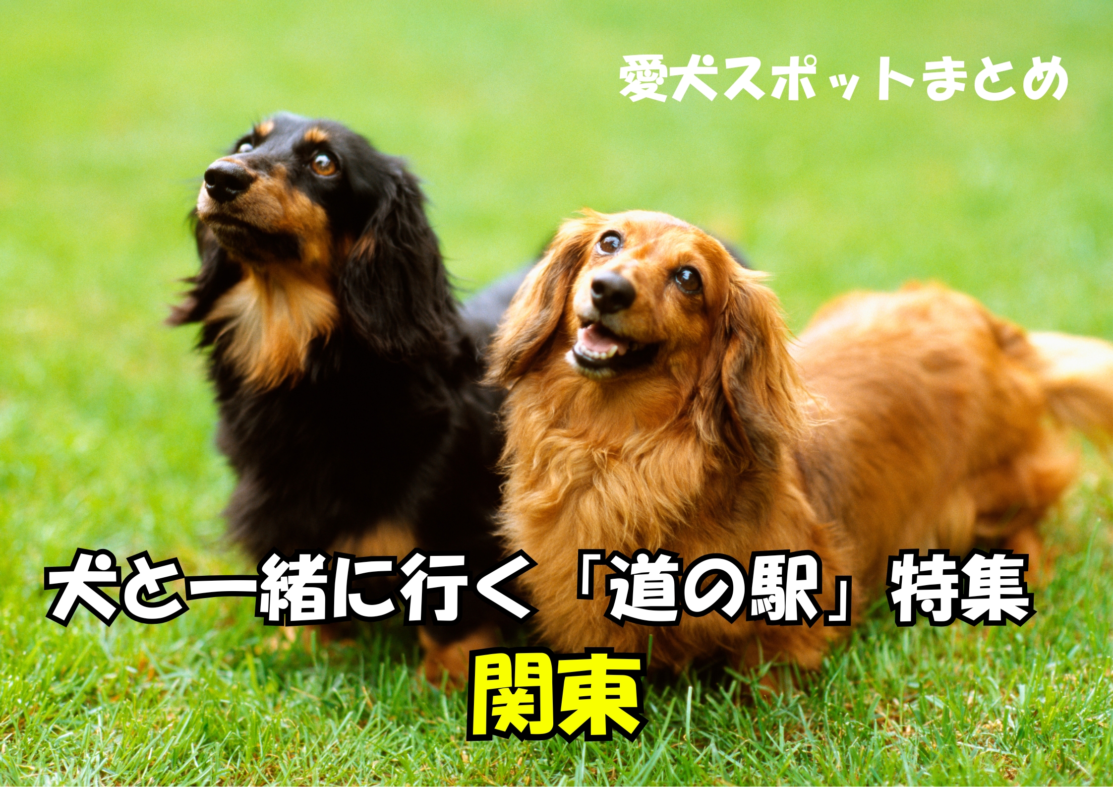 道の駅関東
