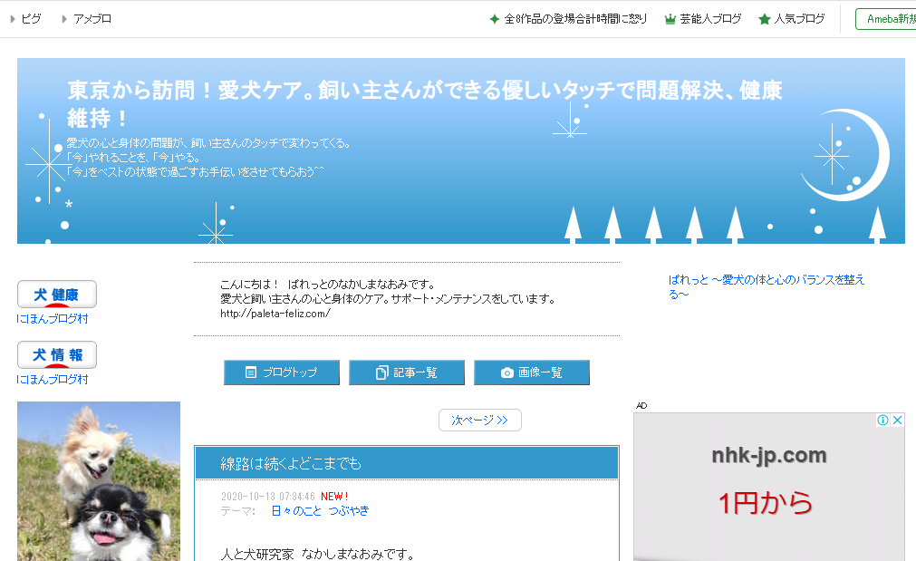 他では学べない!引っ張りが減る?!イヌに優しいリードの使い方