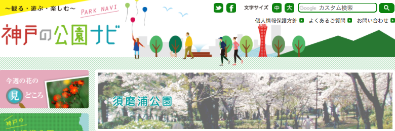 お花見