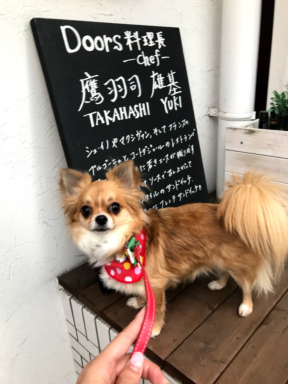 東日本橋駅 Doors スパークリング カジュアルフレンチ ドアーズ ハイセンスでゆったりな空間 小型犬同伴可 東京都 中央区 ペットと一緒