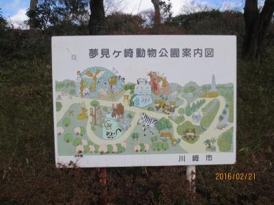 夢見ヶ崎動物公園