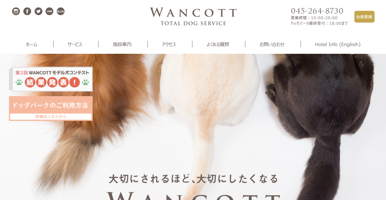 WANCOTTアジリティ開放DAY